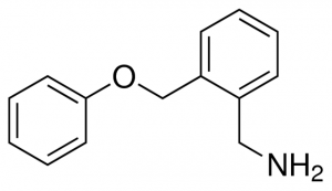 2-(phenoxymethyl)benzylamine CDS017774-25MG