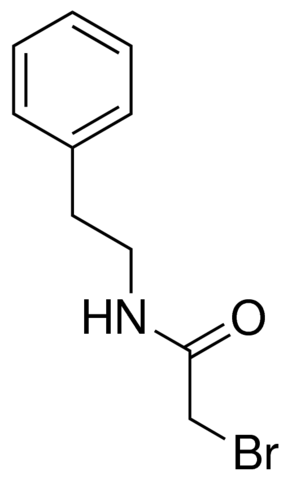 2-bromo-N-phenethyl-acetamide CDS006204-50MG