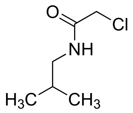 2-Chloro-N-isobutylacetamide CBR01221-1G