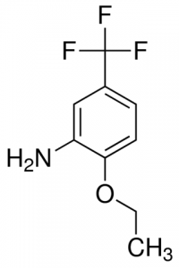 2-Ethoxy-5-(trifluoromethyl)aniline CDS004926-100MG