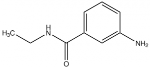 3-Amino-N-ethylbenzamide CBR00239-1G