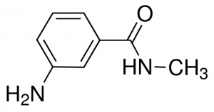 3-Amino-N-methylbenzamide CDS003178-1G