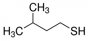 3-Methyl-1-butanethiol 