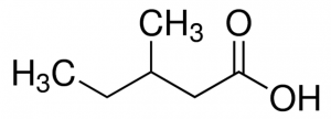 3-Methylvaleric acid 222453-5G