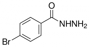 4-Bromobenzoic hydrazide 