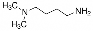 4-dimethylaminobutylamine CDS013751-500MG