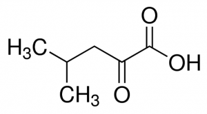 4-Methyl-2-oxovaleric acid 