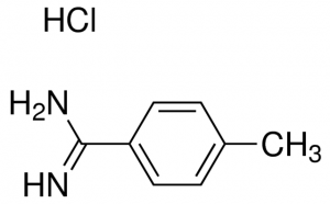 4-methylbenzamidine hydrochloride CDS004524-100MG