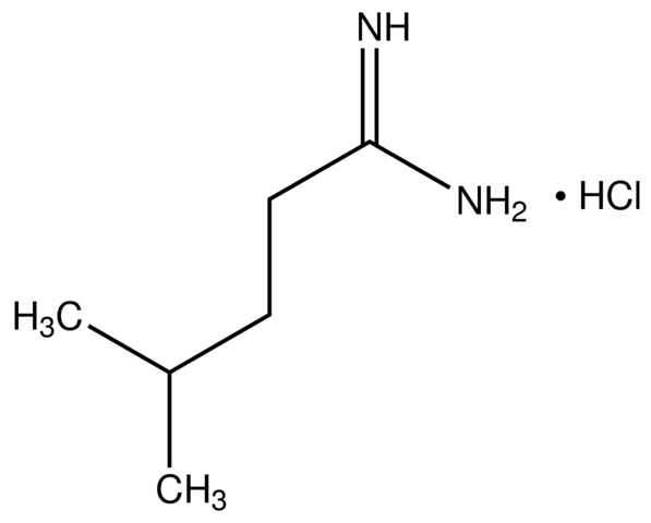 4-Methylpentanimidamide hydrochloride CBR00806-1G
