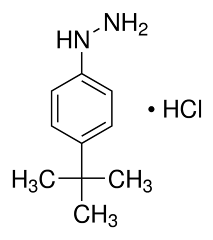 4-tert-Butylphenylhydrazine monohydrochloride 
