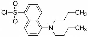 5-(Dibutylamino)-1-naphthalenesulfonyl chloride CDS000136-250MG