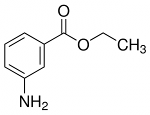 Ethyl 3-aminobenzoate 