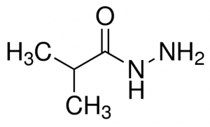 isobutyric acid hydrazide CDS003555-250MG