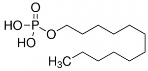 mono-N-Dodecyl phosphate CDS001542-250MG