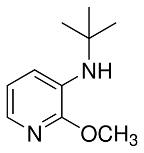 N-(tert-butyl)-2-methoxypyridin-3-amine 