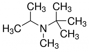 N-Isopropyl-N-methyl-tert-butylamine 