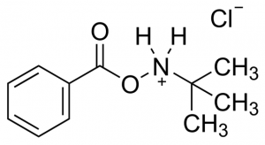 N-tert-Butyl-O-benzoylhydroxylamine hydrochloride 