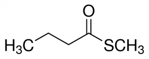 S-Methyl thiobutanoate 