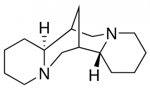 ()-Sparteine 900264-500MG