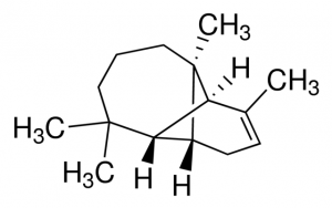 (+)--Longipinene 
