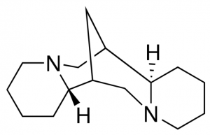 (+)-Sparteine 900263-500MG