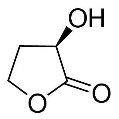 (R)-(+)--Hydroxy--butyrolactone 444286-1G
