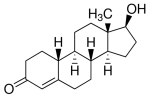 19-Nortestosterone 