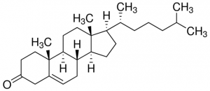5-Cholesten-3-one 