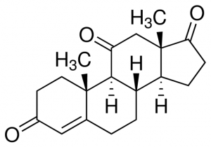 Adrenosterone 