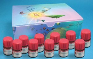 Ruthenium Metathesis Catalysts Kit I 687944-1KT