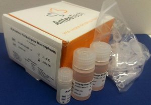 Activation Kit For Multiplex Microspheres A-LMPAKMM-10RXN