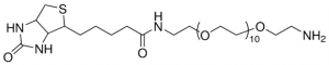 Biotin-dPEG�11-NH2 