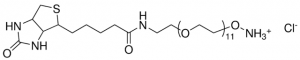 Biotin-dPEG�11-oxyamine HCl 