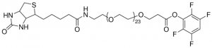 Biotin-dPEG�24-TFP ester 