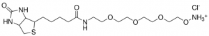 Biotin-dPEG�3-oxyamine HCl 