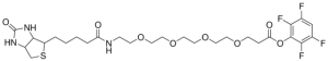Biotin-dPEG�4-TFP ester 