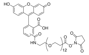 Carboxyfluorescein-dPEG �12-NHS ester 