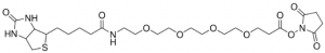 NHS-dPEG�4-biotin 