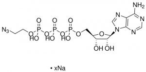 -(2-Azidoethyl)-ATP sodium salt solution 808539-100UL