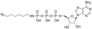 -[(6-Azidohexyl)-imido]-ATP sodium salt 808520-1MG
