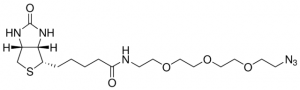 Azide-PEG3-biotin conjugate 