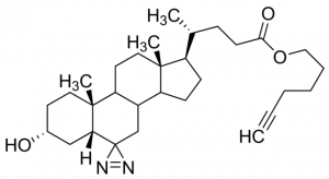 Photo-reactive Clickable cis-Sterol Probe 807737-5MG
