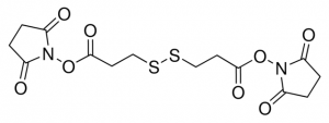 3,3-Dithiodipropionic acid di(N-hydroxysuccinimide ester) 