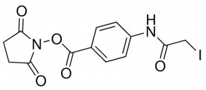 SIAB (N-succinimidyl (4-iodoacetyl)aminobenzoate) 803669-50MG