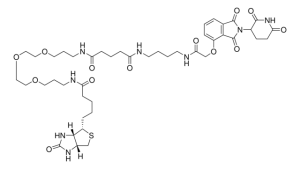 Biotin-Thalidomide 913979-5MG