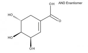 (-)-Shikimic acid 