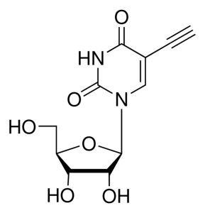 5-Ethynyl uridine 