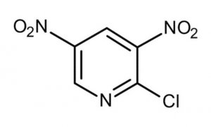 2-Chloro-3,5-dinitropyridine 