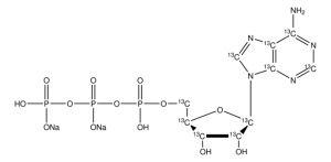 Adenosine-13C10 5-triphosphate disodium salt solution 