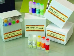 DLAM-LVproR-13C4 Methyl Labeling Kit 